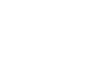 logo tonesweets white 